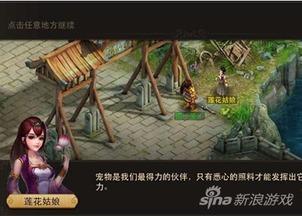 杨小姐出马爆料视频,独家爆料视频背后的惊人真相  第1张